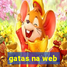 gatas na web